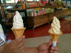 sakky̒co[lbgqւ̓eʐ^1