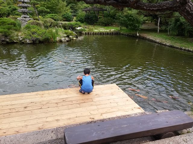 �V��t���R���� 6_�V��t���R����