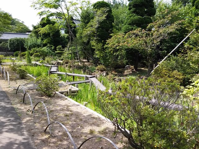 �V��t���R���� 7_�V��t���R����