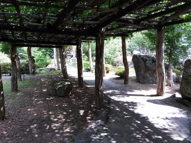 �V��t���R���� 8_�V��t���R����