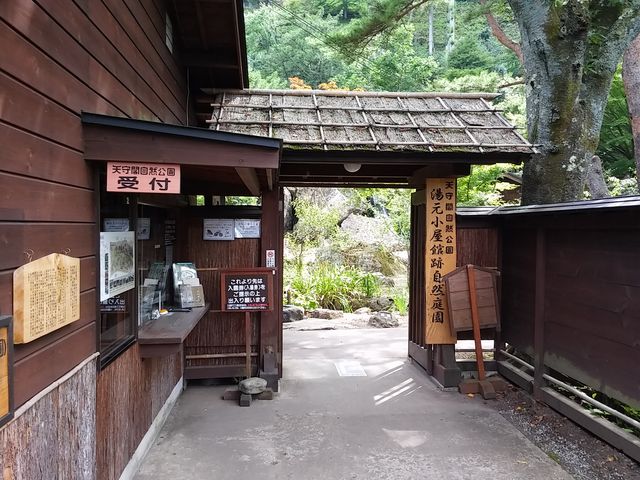 �V��t���R���� 1_�V��t���R����