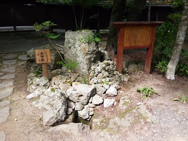 �V��t���R���� 2_�V��t���R����