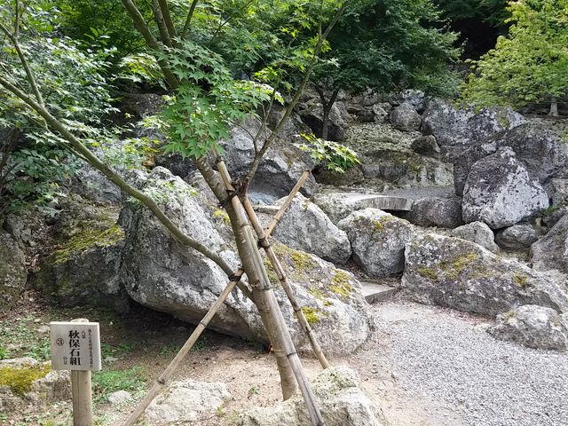 �V��t���R���� 5_�V��t���R����