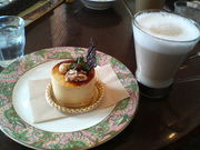 ]ˉƉL̃iKn}R[q[ OX̓eʐ^5