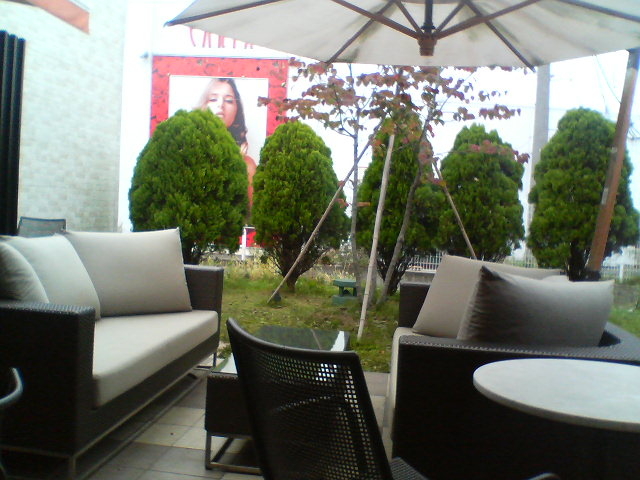 ]ˉƉL̃iKn}R[q[ X̓eʐ^1