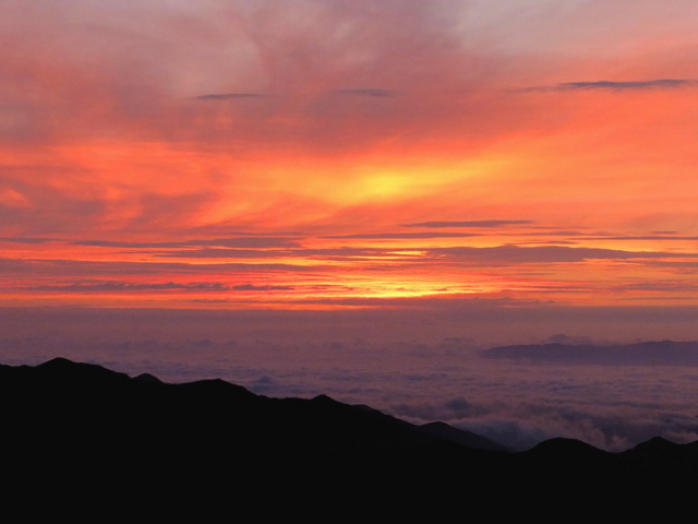 ��Ɗx�i�x�m���x�j����̂������ł��B_�㍂�n