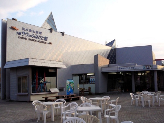 �T�P�̂ӂ邳�Ɛ�ΐ�����