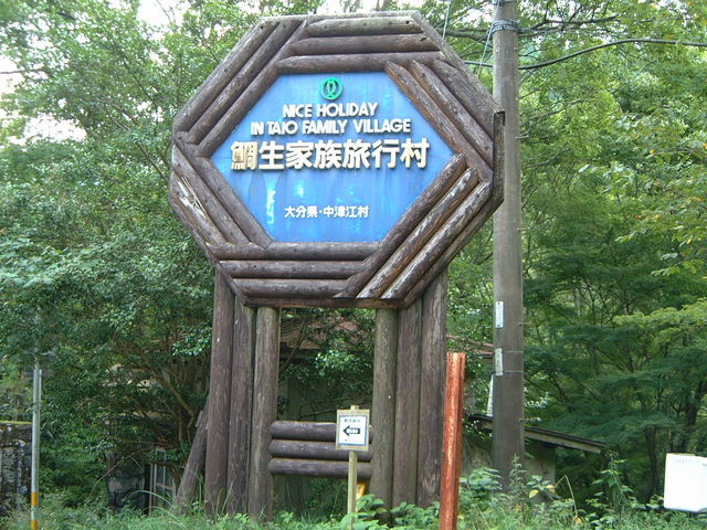 Ԃ񂳂̑␶Ƒs̓eʐ^1