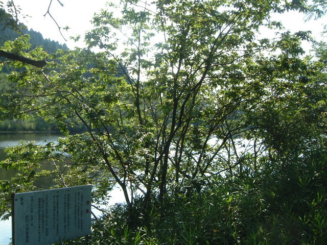 Ԃ񂳂̑]c̒r̓eʐ^1