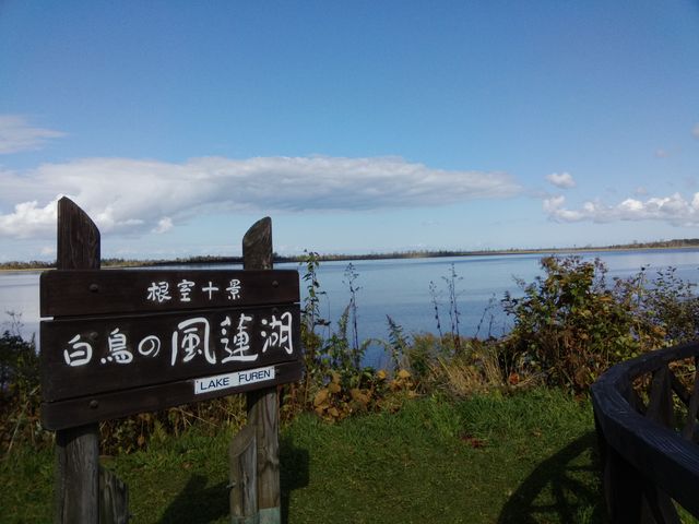 ��������������_���̉w �X�����S�S�˂ނ�