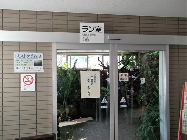 yƂ~[WAz_Ƃ~[WAi΂ƉԂƒ̔فj