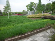 Ɓ[邳̖PVnԂ傤ԉ̓eʐ^1