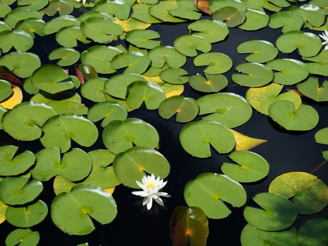 ςσ{̖CRrW^[Z^[̓eʐ^1