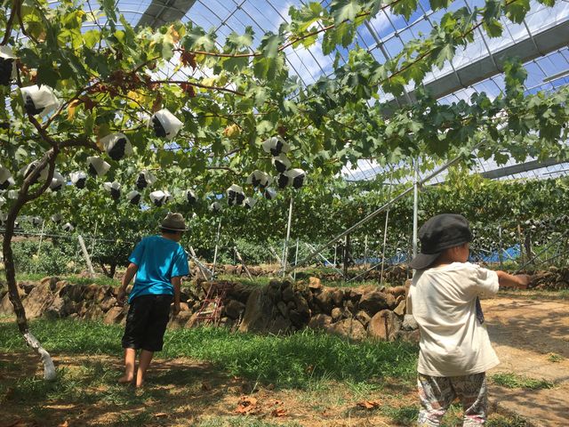 Vc(135cm10)
Vc(100cm4)
ԂǂI̍̎Qlɂǂ_t[c_