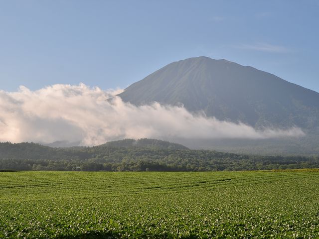 ���̗r���R�A�Y��ł����B_�r���R