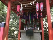 Sakamoto119̑Js̓eʐ^8