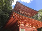 Sakamoto119̑Js̓eʐ^9