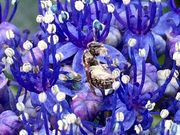 choco̔R_Ђ̂̓eʐ^5