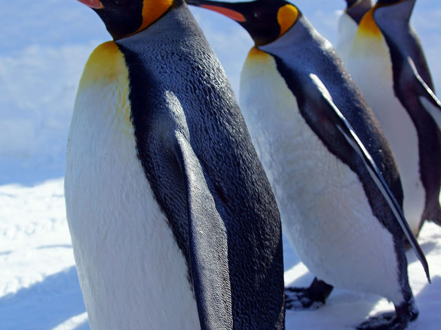 �y���M���U��_���R������