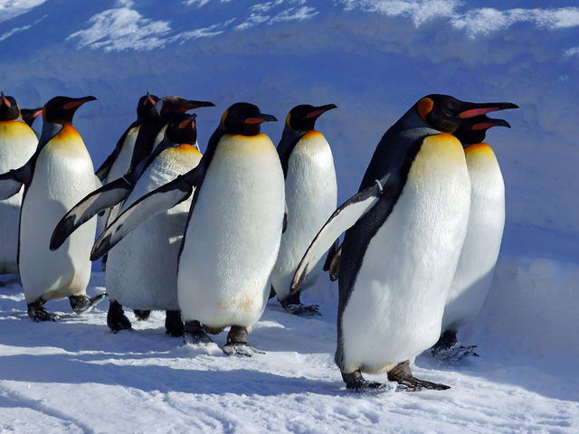 �y���M���U��_���R������