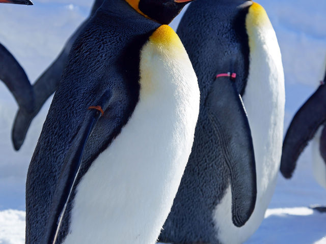 �y���M���U��_���R������