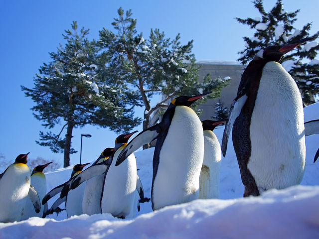 �y���M���U��_���R������