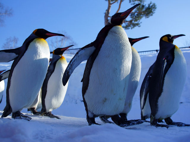 �y���M���U��_���R������