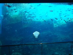 [Ԃ̐䂤݂̓mقւ̓eʐ^1