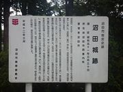 ꂨ񂳂̏c隬̓eʐ^3