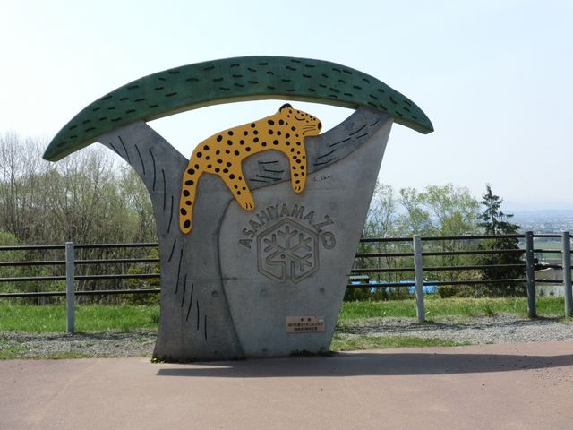 ����s���R������_���R������