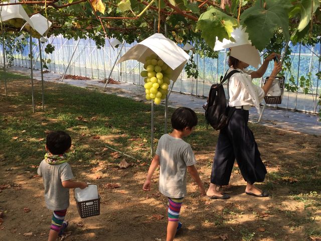 �n�E�X���͂ƂĂ������āA�O�C��36�x�̃n�E�X�̊O���ƂĂ������������܂����B_�s�A�t�@�[���Ԃǂ����u�����x���W�F�v