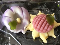 non����̘a�َq���@���y���ւ̓��e�ʐ^1