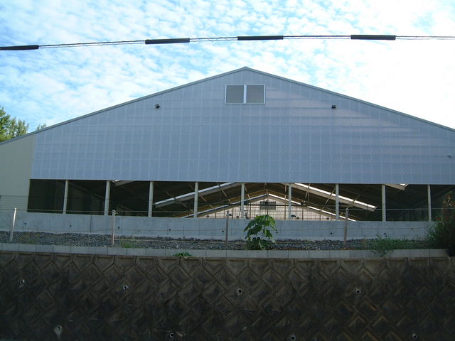 �e�j�X�R�[�g��_�}��̐X�e�j�X�N���u