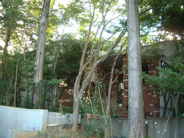 Ԃ񂳂̒}̐XejXNu̓eʐ^2