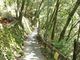 さくらちゃんさんの鳩ノ巣渓谷への投稿写真2