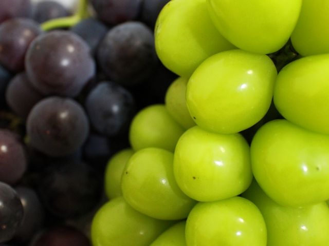 ��i�ȊÂ݂��ō��ł���_���̉w �Ȃ邳��