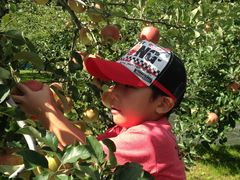 o񂳂̂V̗؂ډւ̓eʐ^3