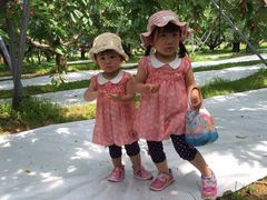 o񂳂̂V̗؂ډւ̓eʐ^4