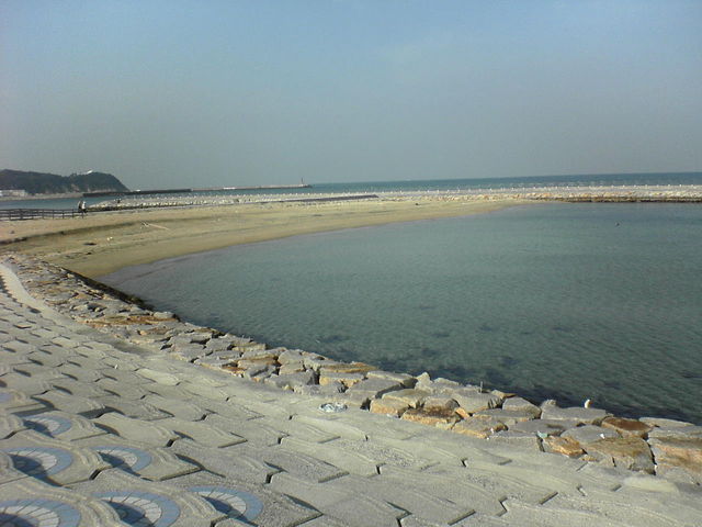 �Ђł���񂳂�̑���̕l�C������̓��e�ʐ^1