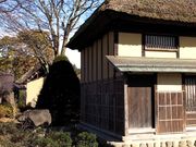 kingtut̏шꒃ̓eʐ^2