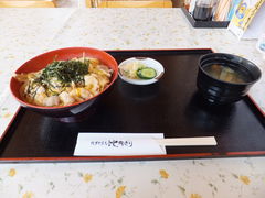 satotana̓̉wЂȂ@{̗ւ̓eʐ^1