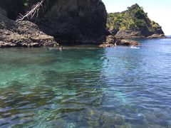 sakurãq]lւ̓eʐ^1