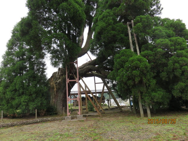 ����ɐ�_����ɐ�