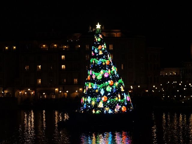 �����f�B�Y�j�[�V�[(R)