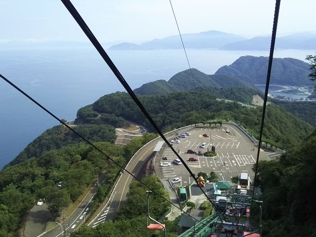 {CāA߂͍ōłB̒߂͂ɗǂłAɔяo݂ŁA|łB_C{[CR