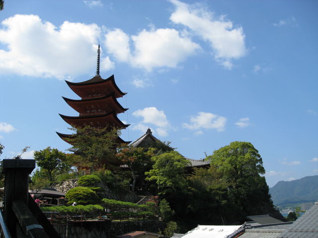 Ђł񂳂̖L_Ёitj̓eʐ^1