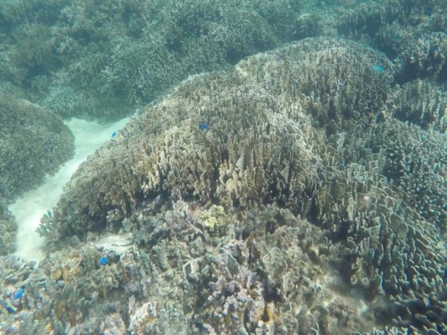 �T���S_���ۊC��