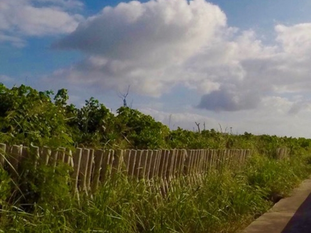 ���ۊC�݉�_���ۊC��