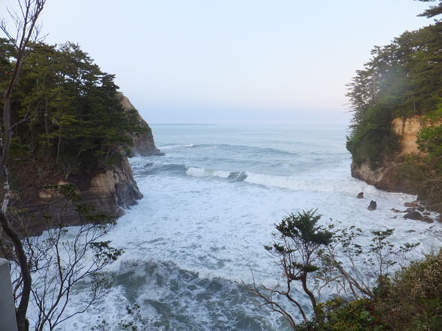 ��ϑ��̘I�V���C����̑����m_�܉Y����