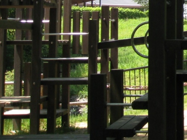 Ђł񂳂̎O؎RXь̓eʐ^1